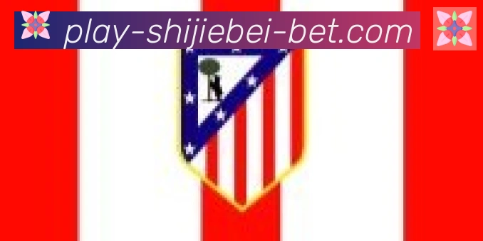 2026世界杯投注入口合作伙伴